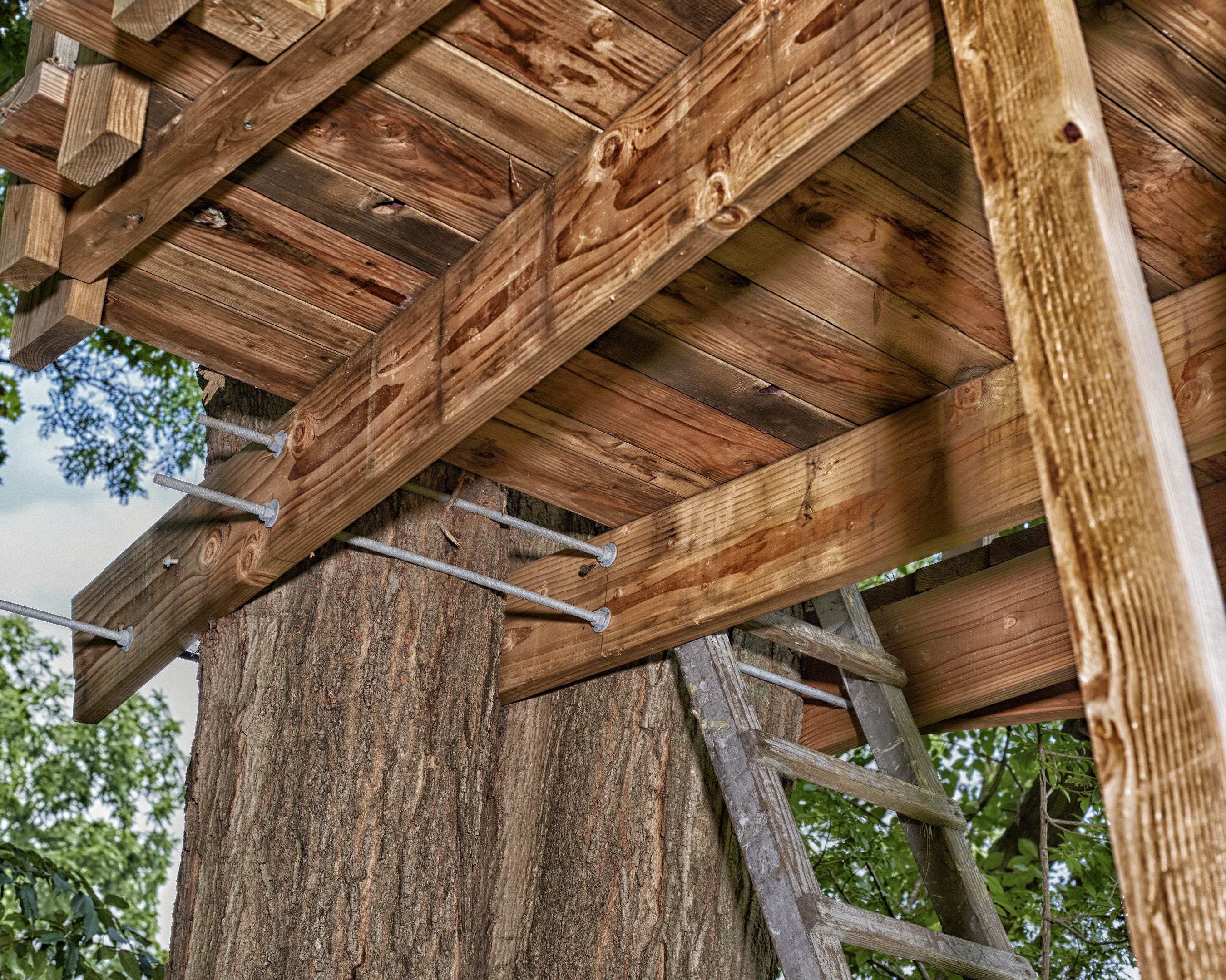 how to build a treehouse kids image how to build treehouse for your backyard diy tree house plans how to build a treehouse kids image how to build treehouse for your backyard diy tree house plans
